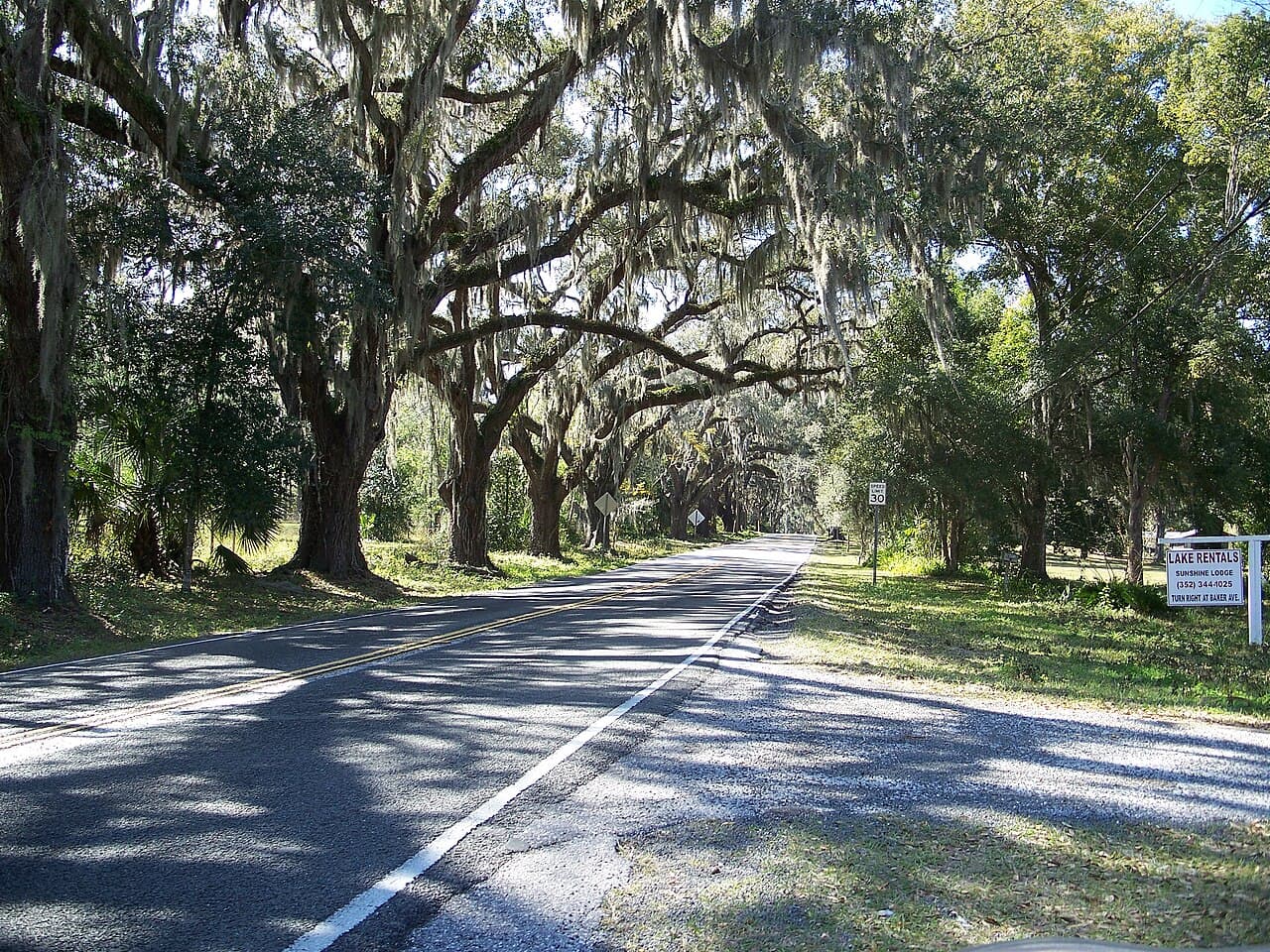 Withlacoochee State Trail passing through Floral City with oak canopy and rural landscape