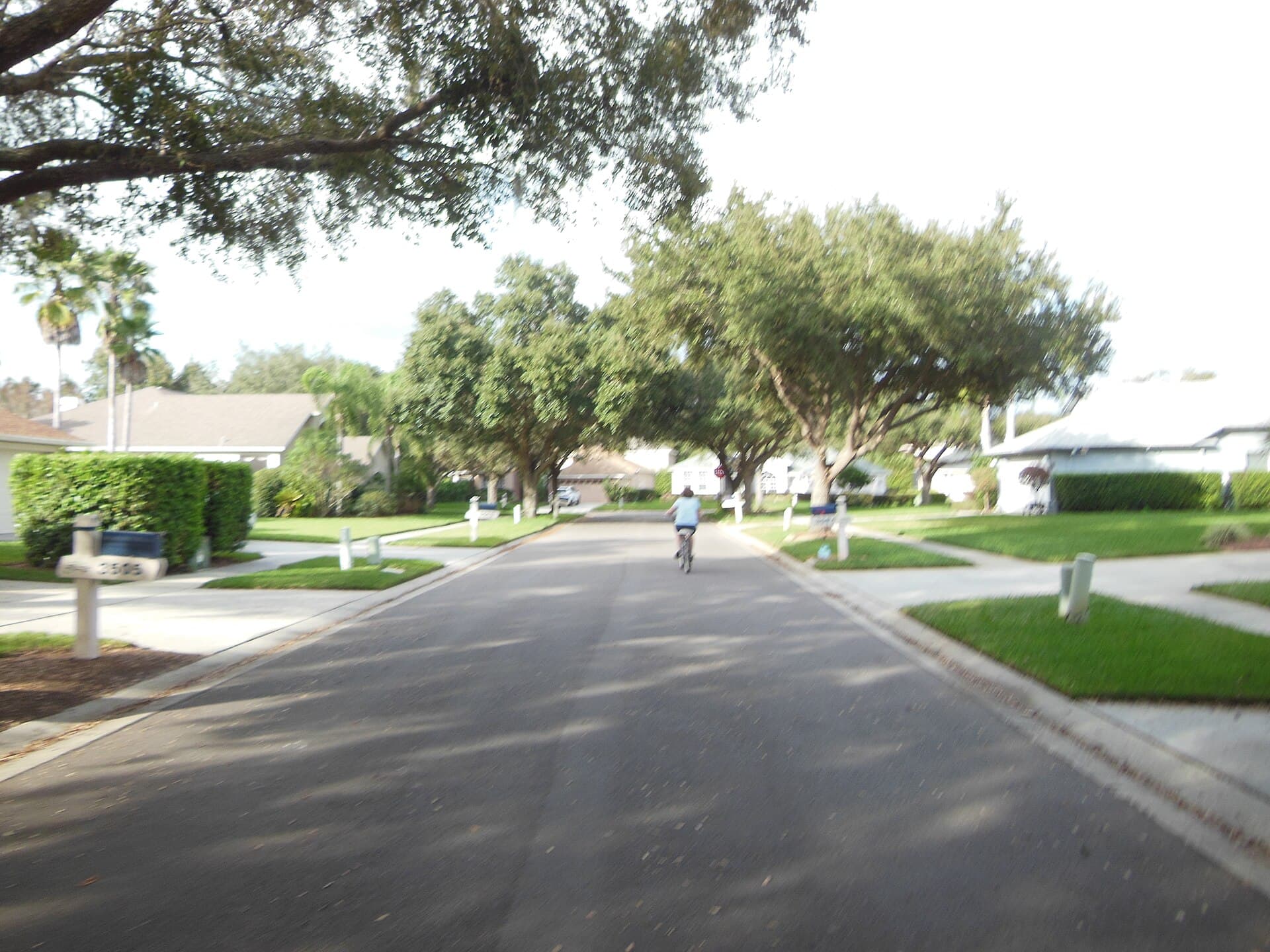 Cyclist on a residential road in Valrico, Florida